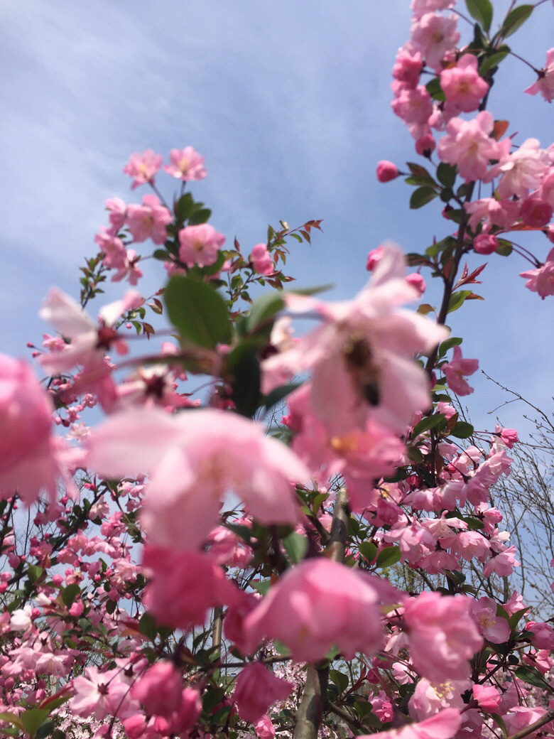 ·������