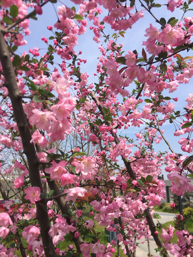 ·������