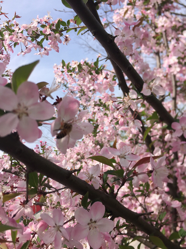 ·������