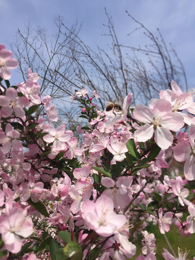 ·������