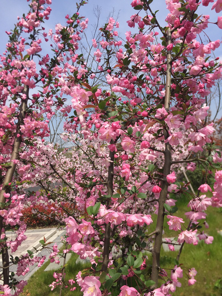 ·������