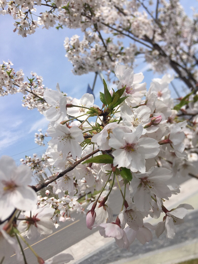 ·������