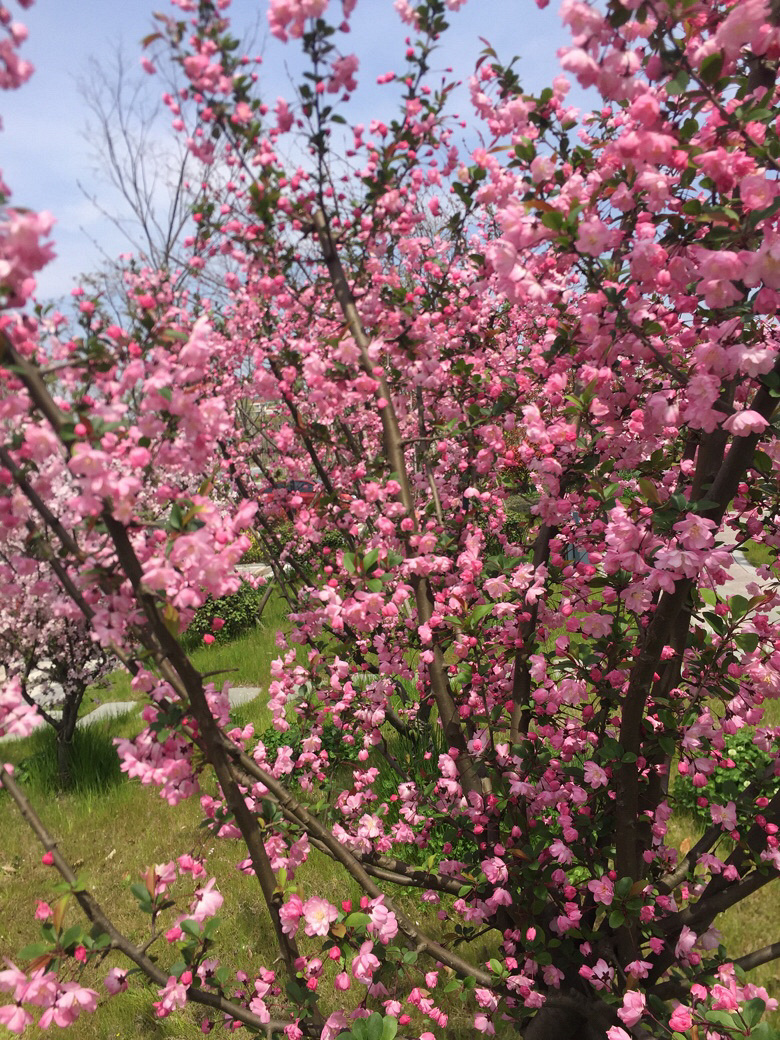 ·������