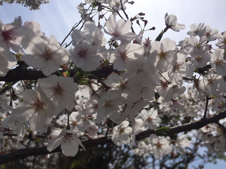 ·������