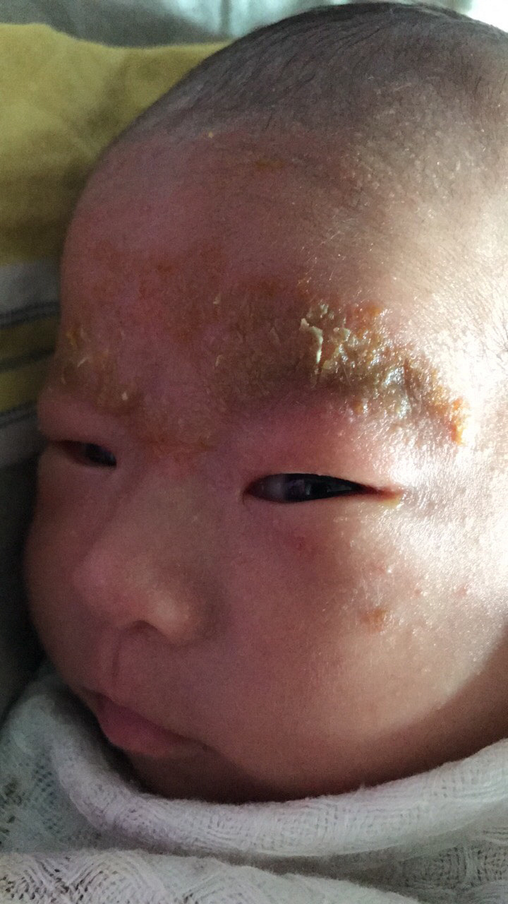 40�챦����üë����ͷ���л�ɫ���裬����С��㡣