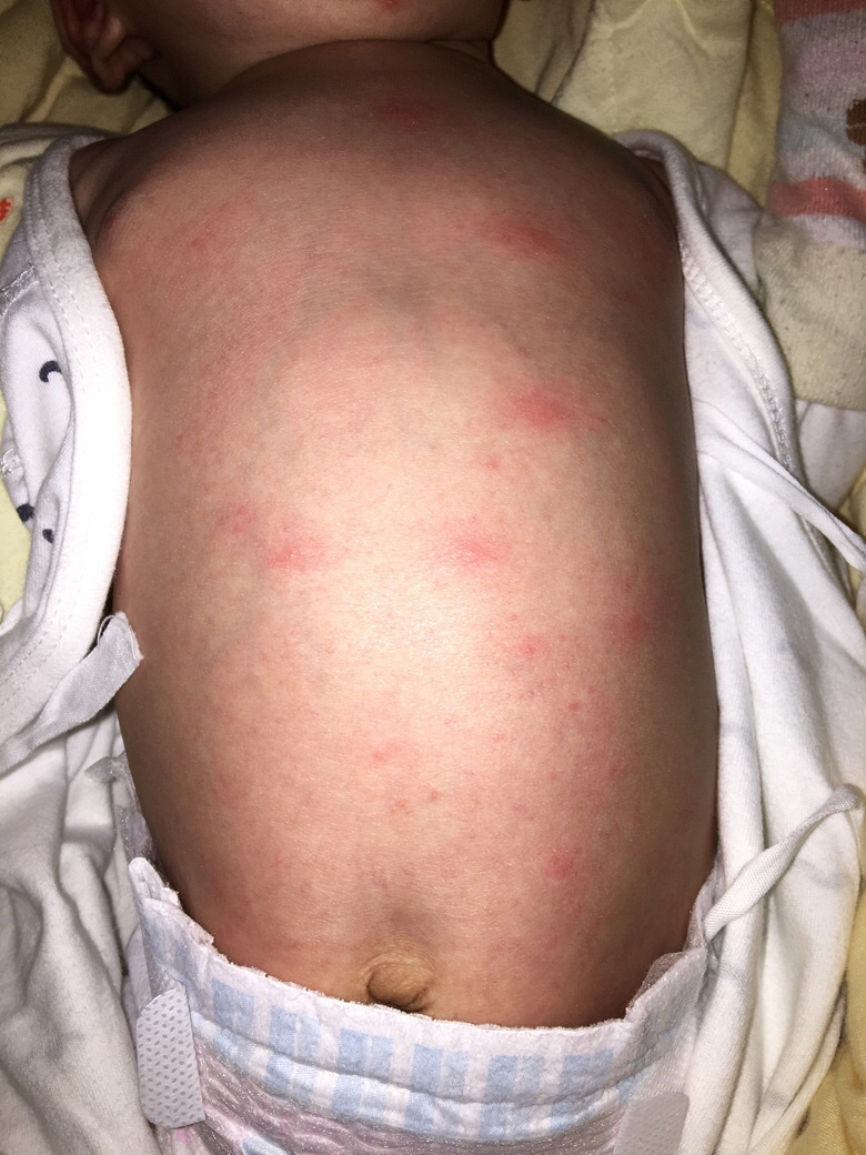 ��ʪ�������������