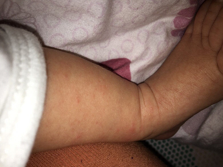 ��ʪ�������������