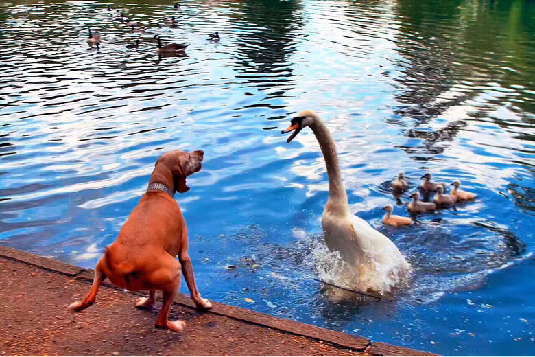 ɹɹ�ҵ��˶�Ь