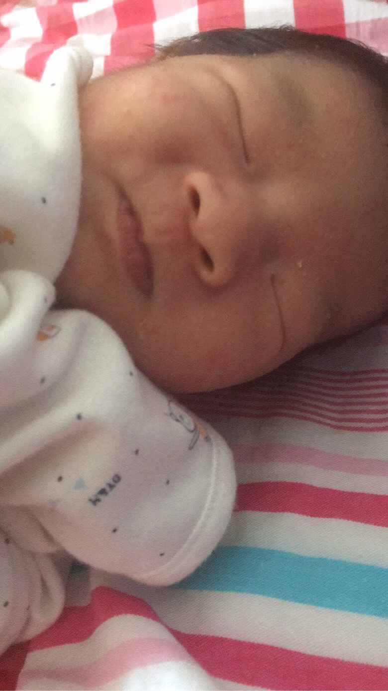 ����ʪ��