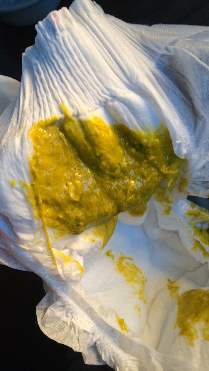 ҽ������