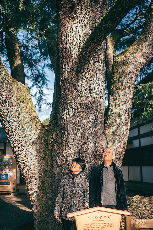 红枫绿松还有海记我们一家的高松深秋之旅