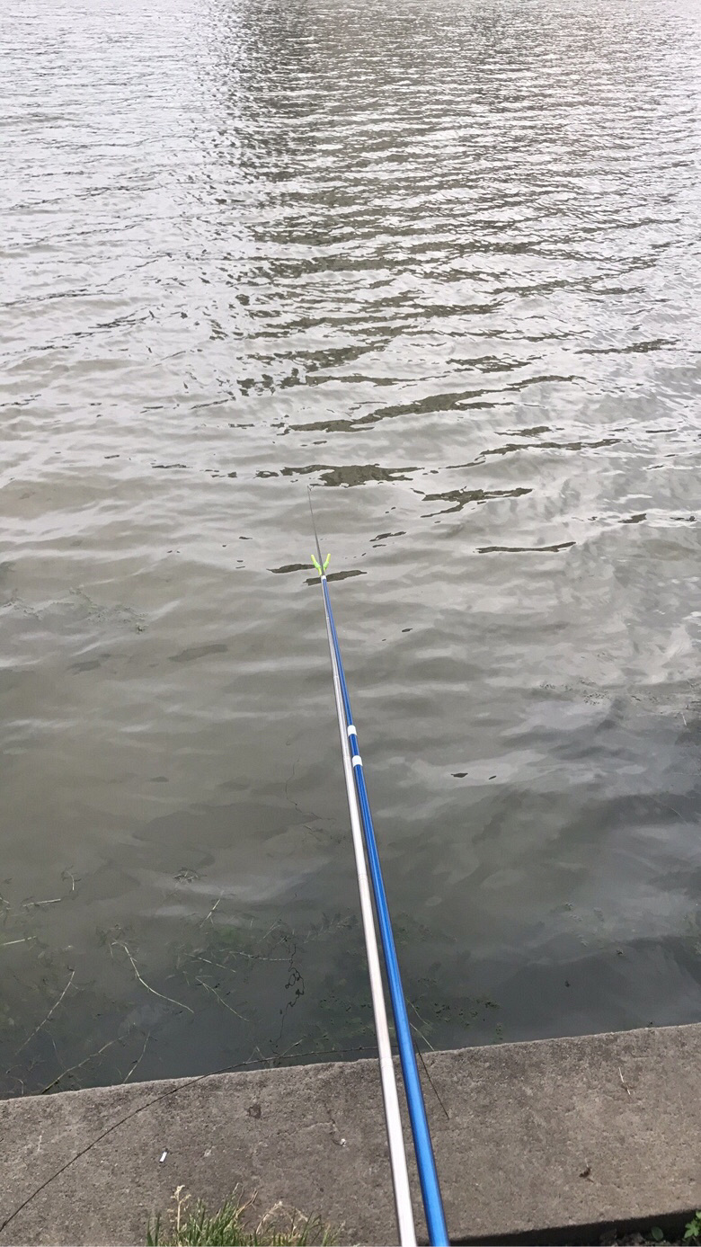 �����°����ջ�