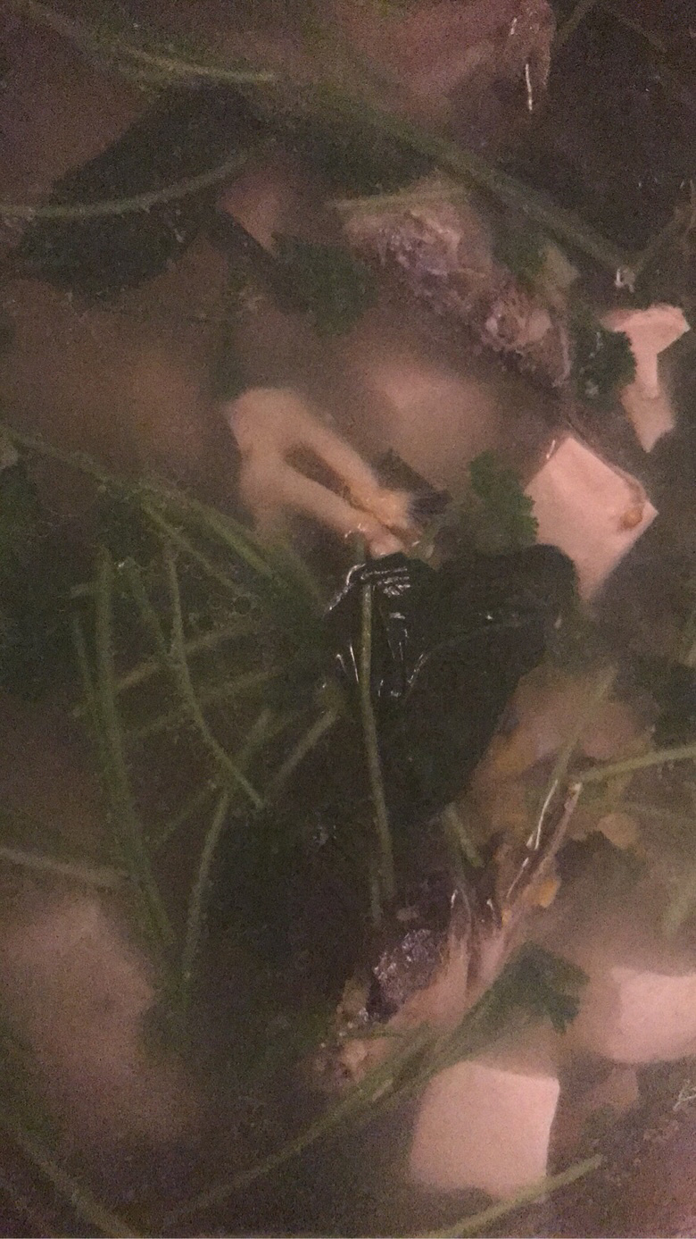 �����°����ջ�