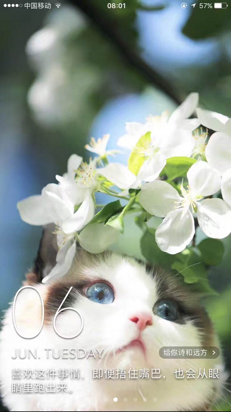 �˰�����