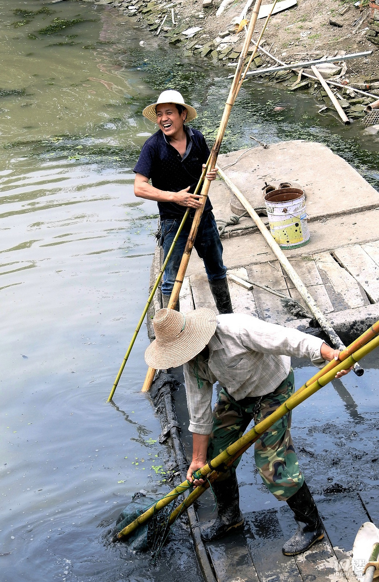 剿灭劣5类水罱河泥