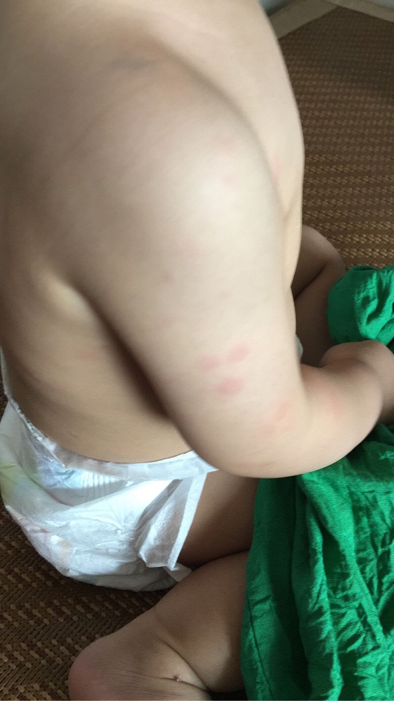 С�����϶�ʮ����������ֹ