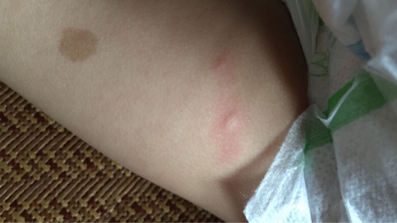 С�����϶�ʮ����������ֹ