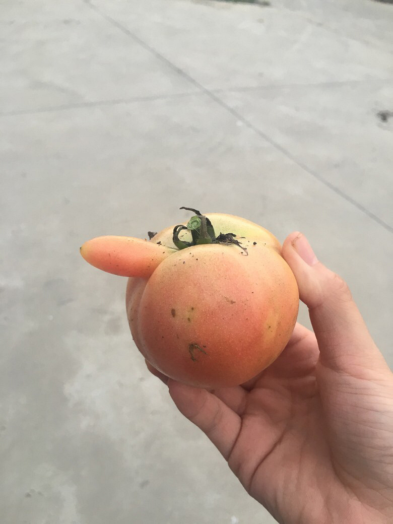 ���ѳ�������Ҳ�����ˡ���