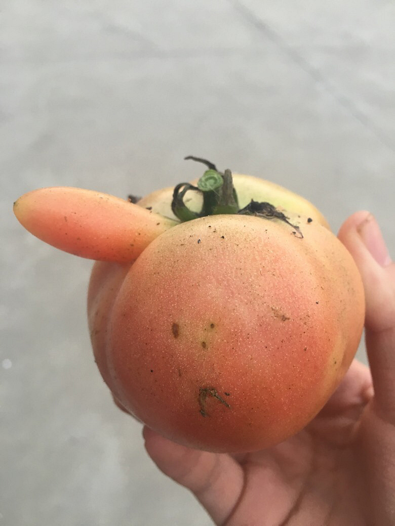 ���ѳ�������Ҳ�����ˡ���