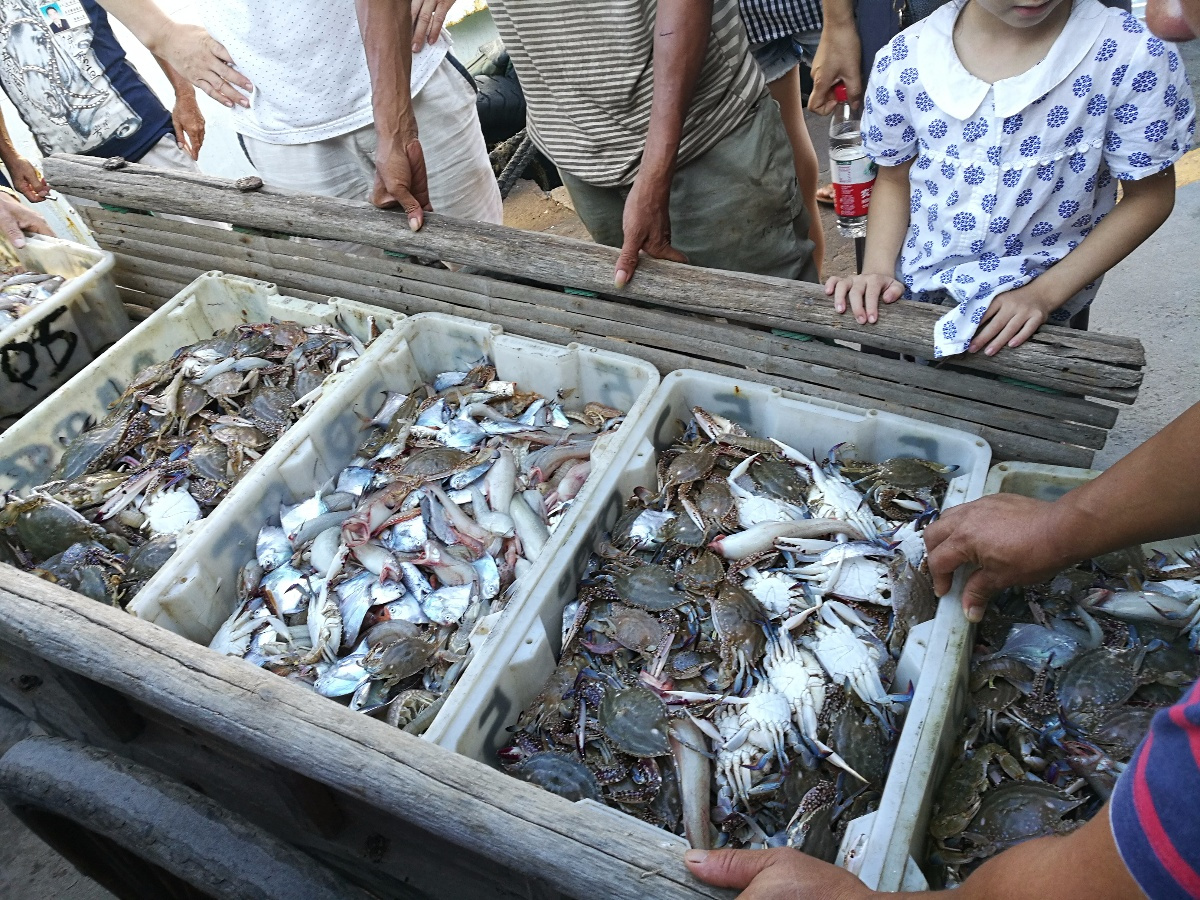 温岭石塘出海捕鱼