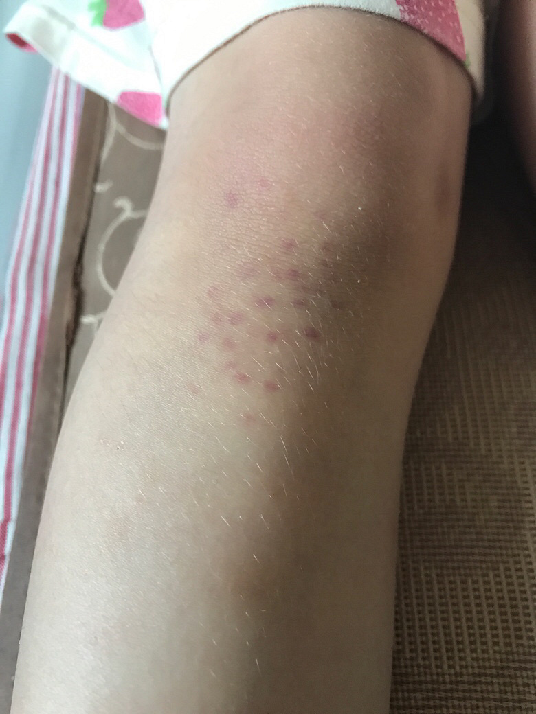 ϥ������С����