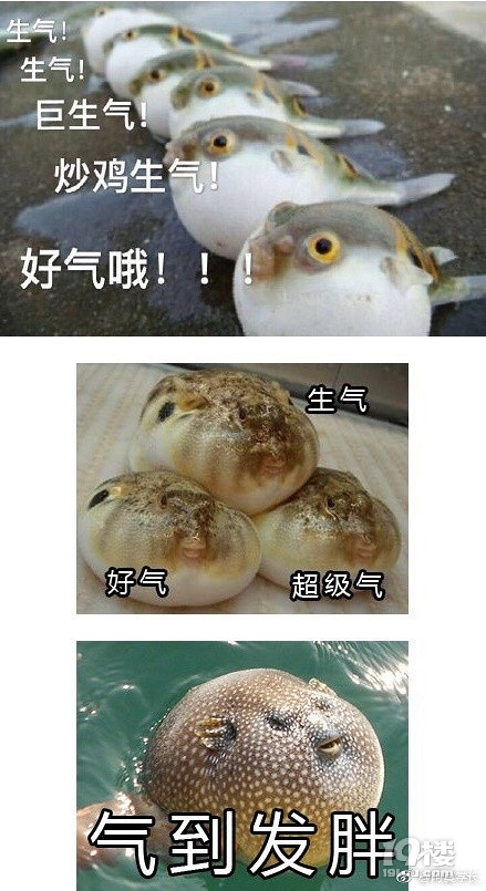 十七八岁的爱情啊