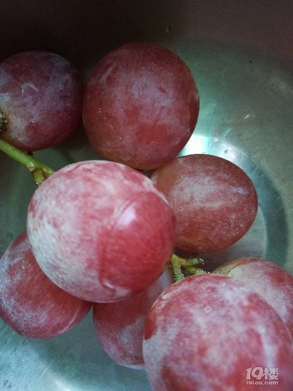 吃着被冻着冰块的提子