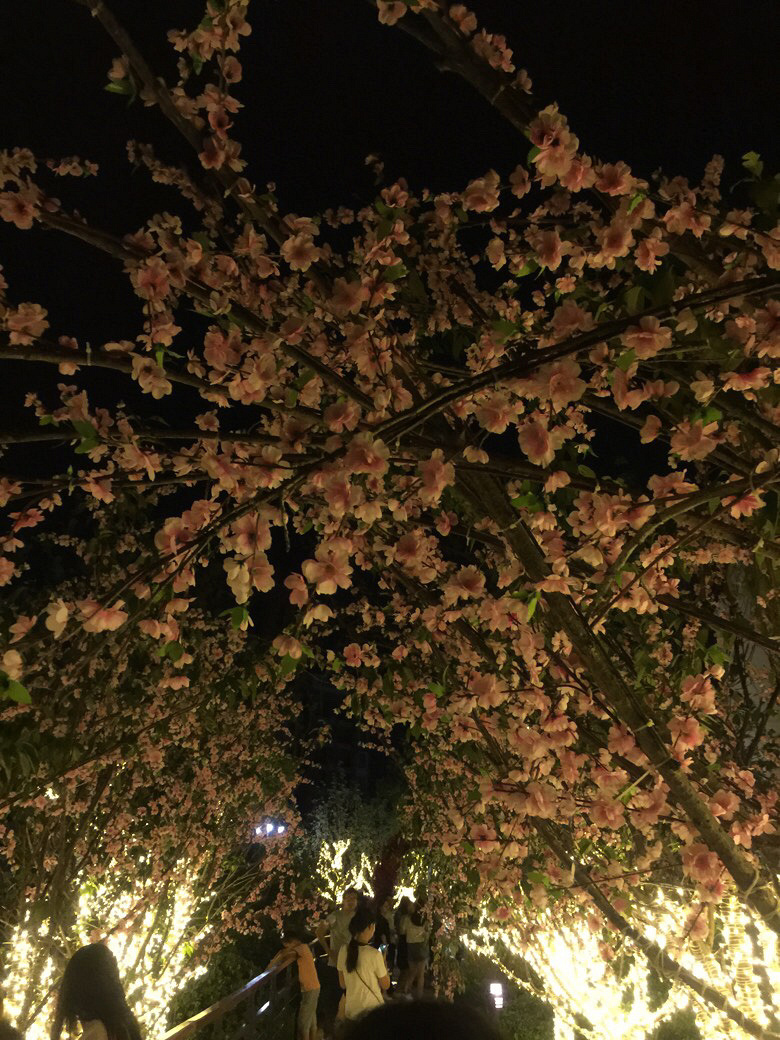 ���ں������ҹ֮�ν��ѻ�