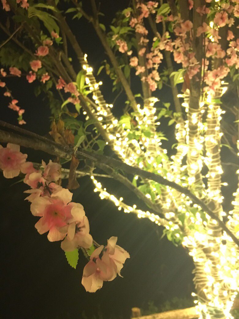 ���ں�����������ҹ֮���ǹ⽻�ѻ�