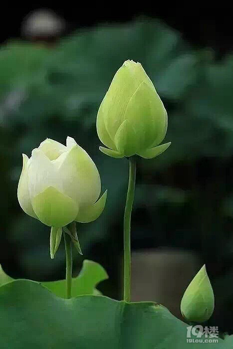 和相处舒服的人在一起