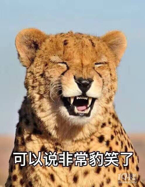 情何以堪