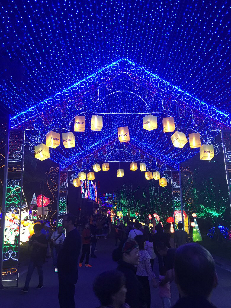 ���������ں���Ƥ��ǵƻ᡿