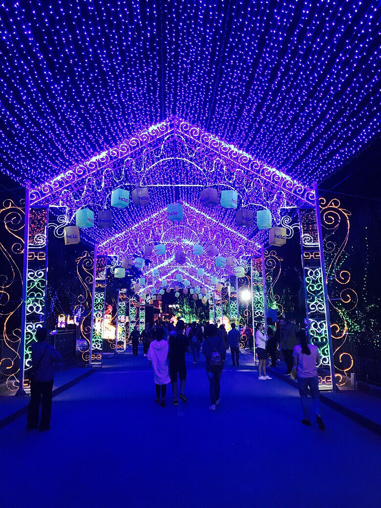 ���������ں���Ƥ��ǵƻ᡿