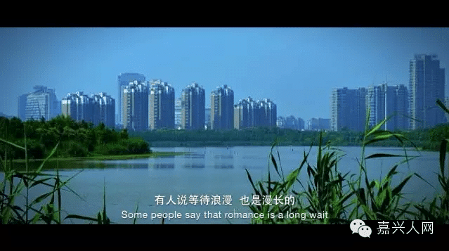 大家好,给大家介绍一下,这是我家乡@嘉兴-求