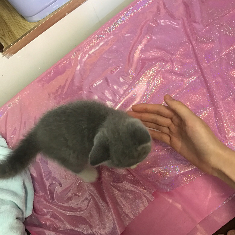�Լ�����Ӣ������ ���ɰ�