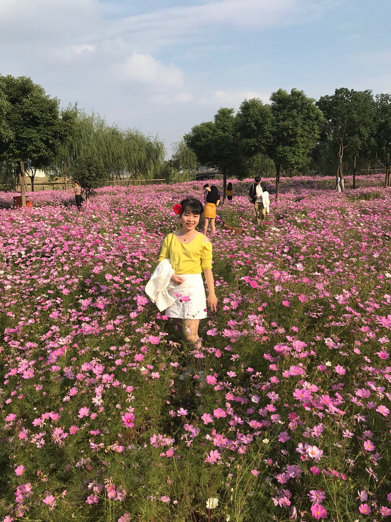 �û��������ã��������ã��Ͻ������