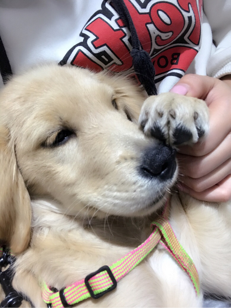 ��¼��Ů��һ��һ��