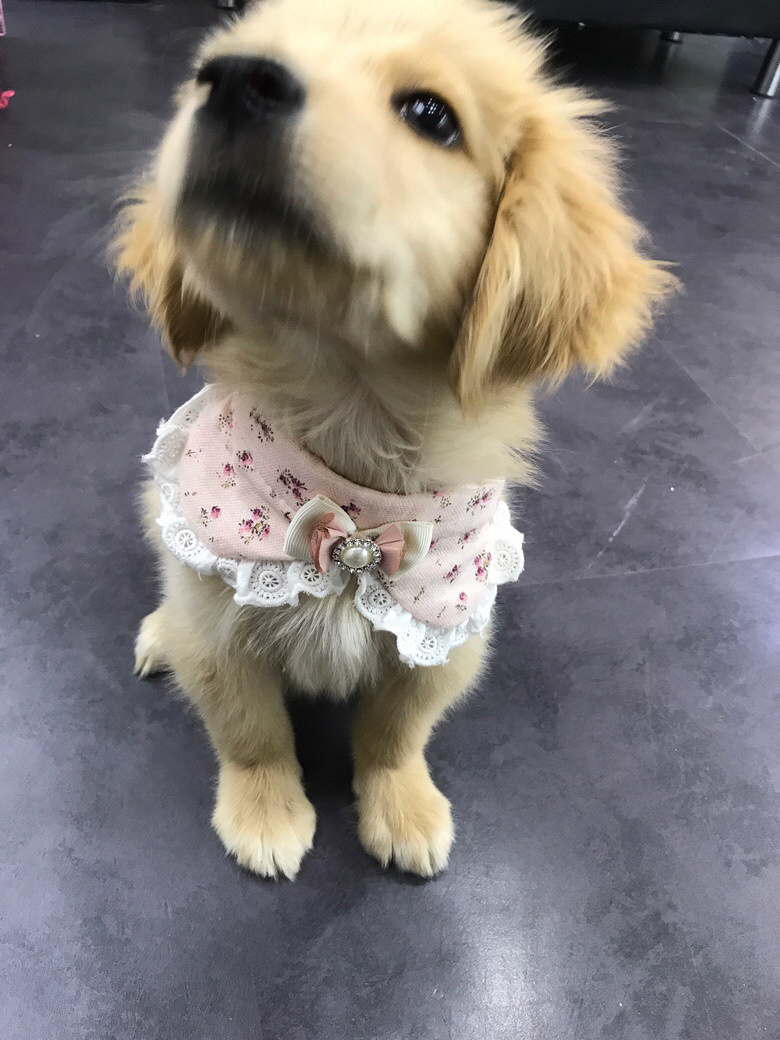 ��¼��Ů��һ��һ��
