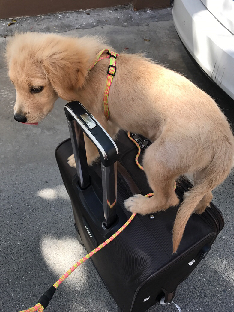 ��¼��Ů��һ��һ��