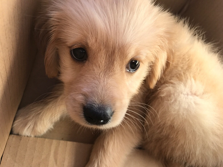 ��¼��Ů��һ��һ��