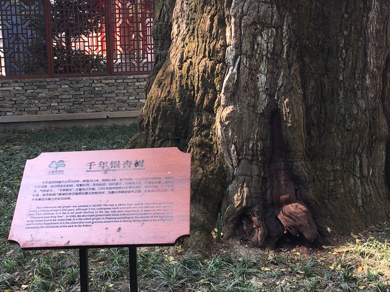 �Ը������ĸ��羰