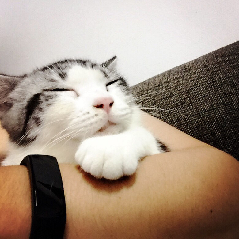 ߣè�������壡
