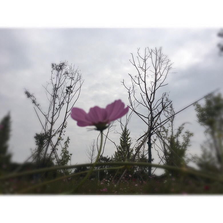 ��������գ��κ���������