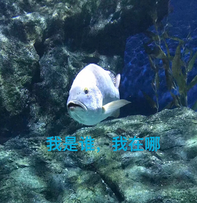 �°�������+��С�ɰ����ĸ���