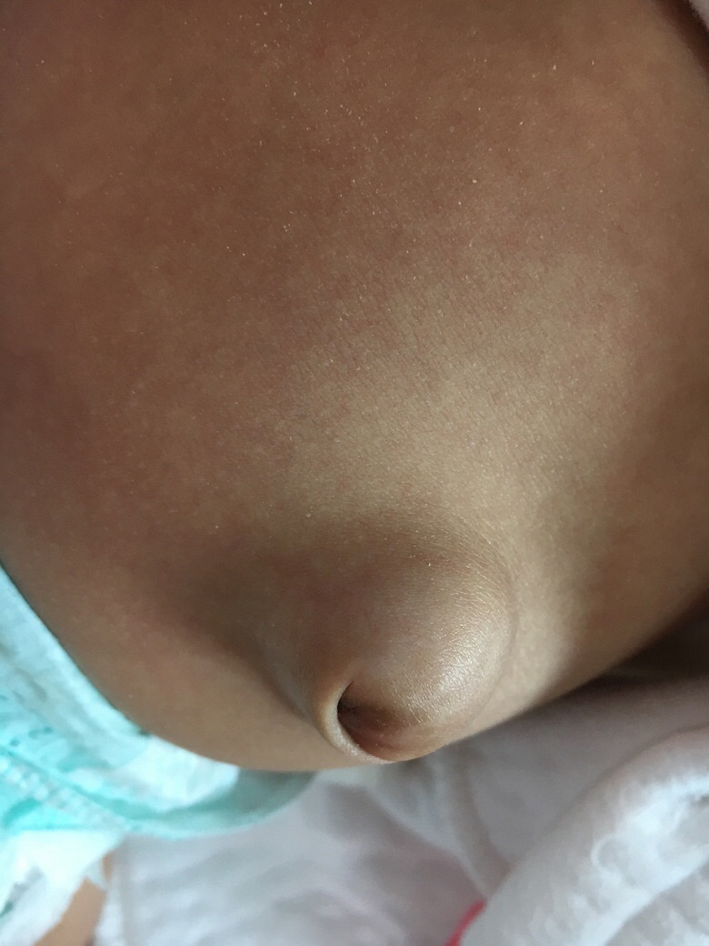 ���ڶ�����