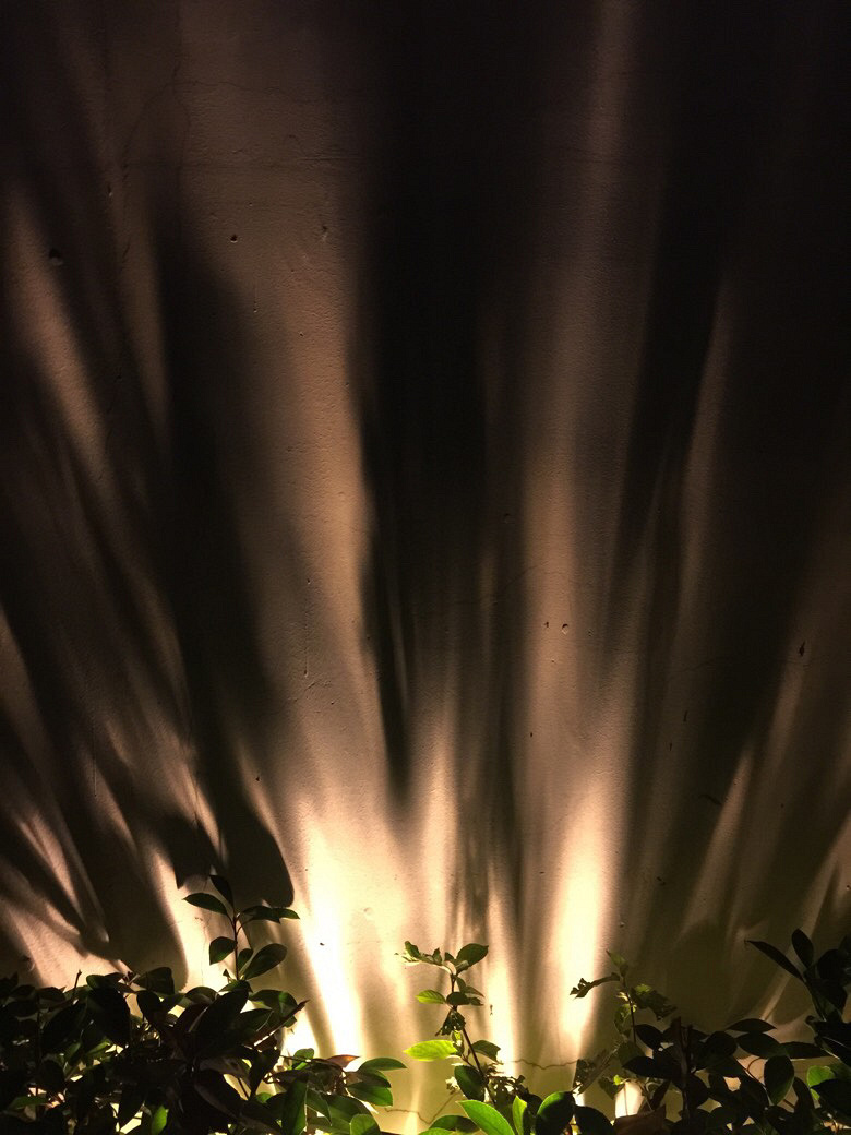 ���ߵ������޴�����