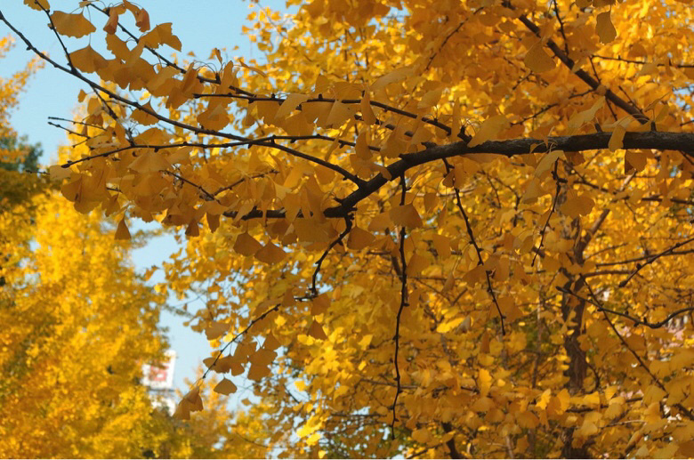 �������ů