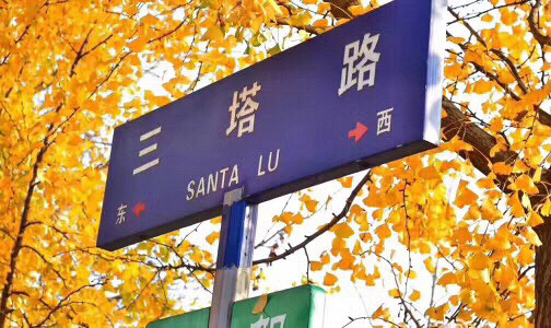 ��Ҳ����ɨ�ơ�Ӯ����ȯ�