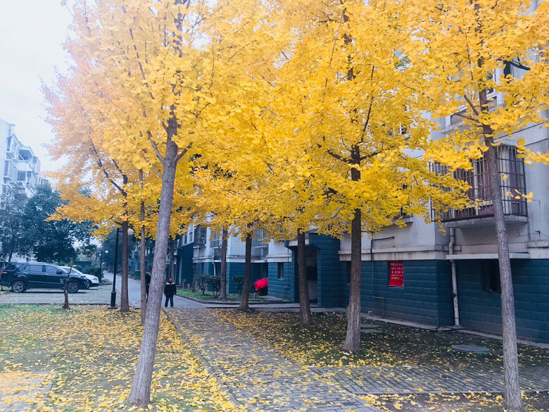 ����ȥ��������· С��һ����