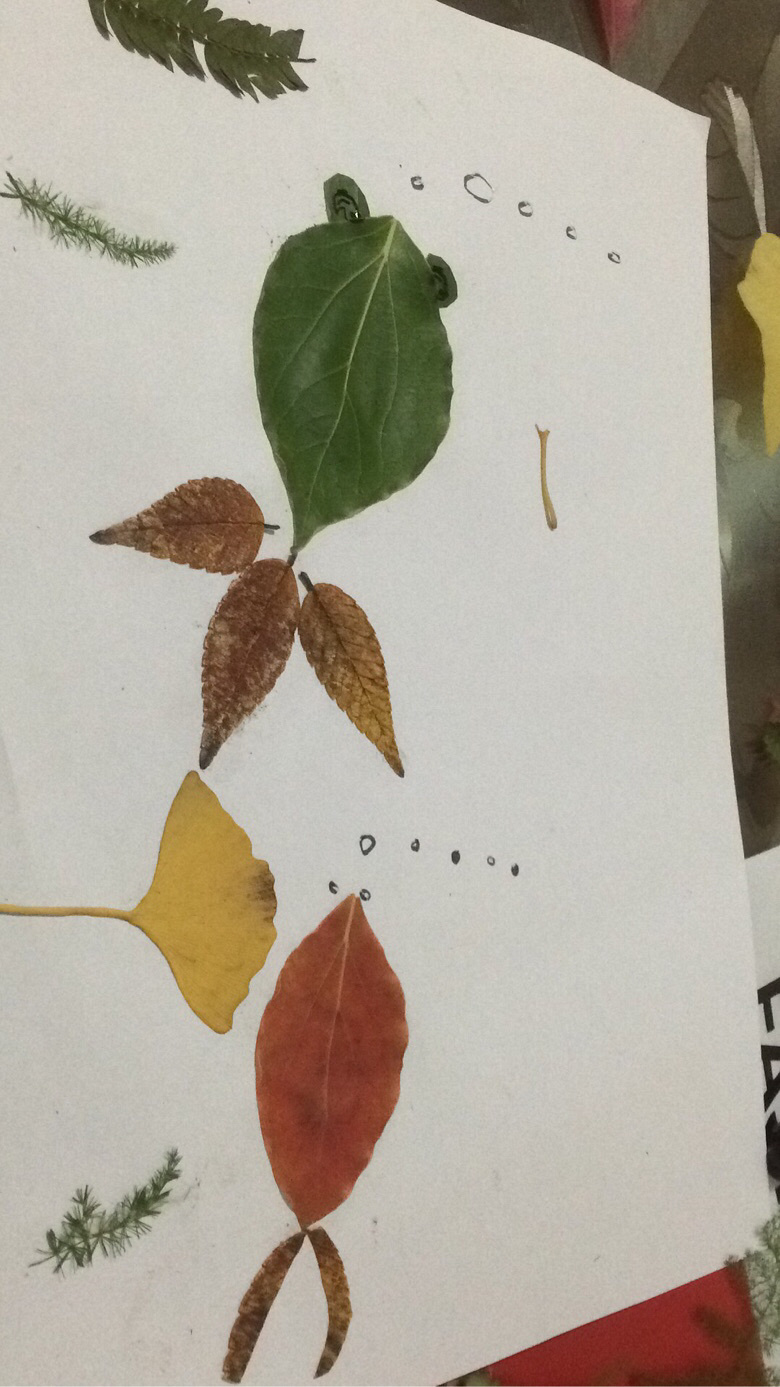 ������Զ���õ���